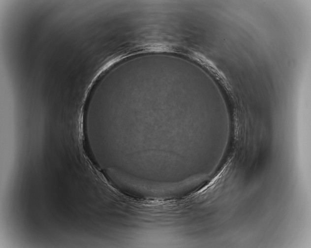 X0000096991174200802081422