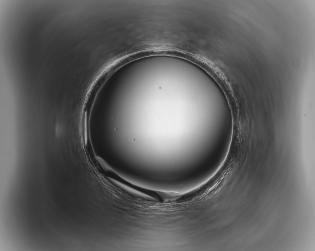 X0000096991175200802081422