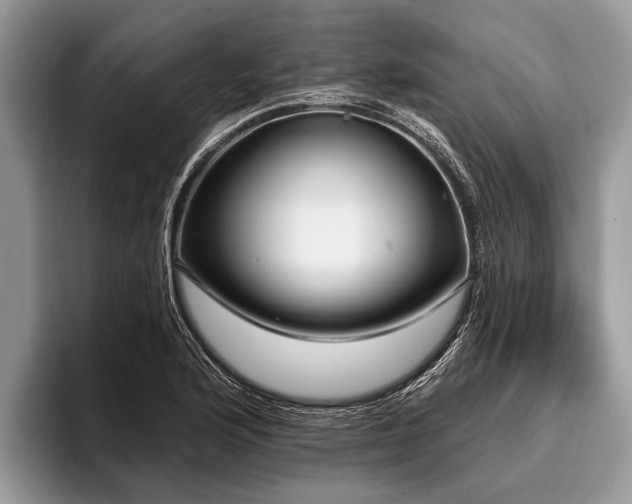 X0000096991176200802081422