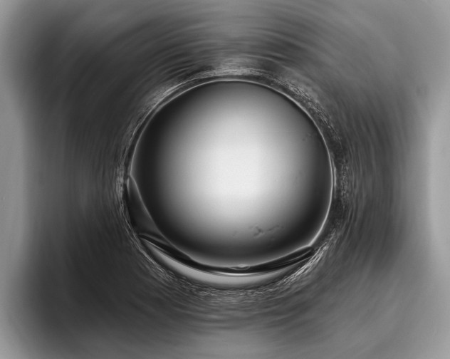 X0000096991177200802081422