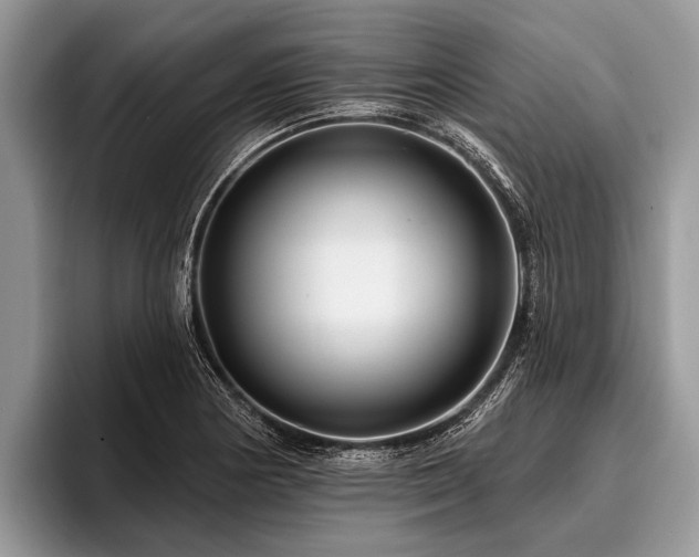 X0000096991178200802081422