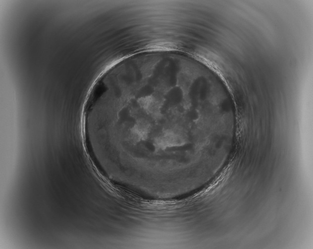 X0000096991179200802081422