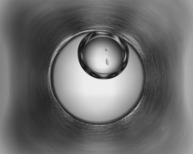 X0000096991180200802081422