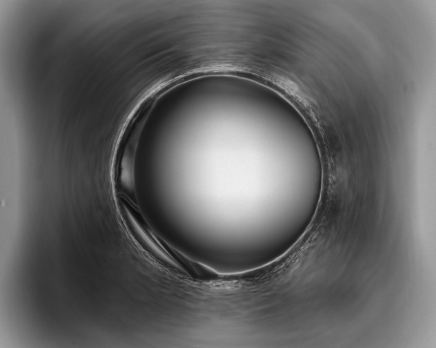 X0000096991181200802081421