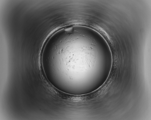 X0000096991182200802081421