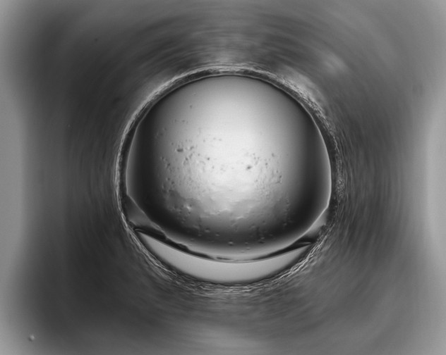 X0000096991183200802081421