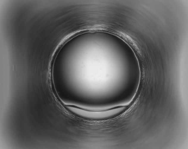 X0000096991184200802081421