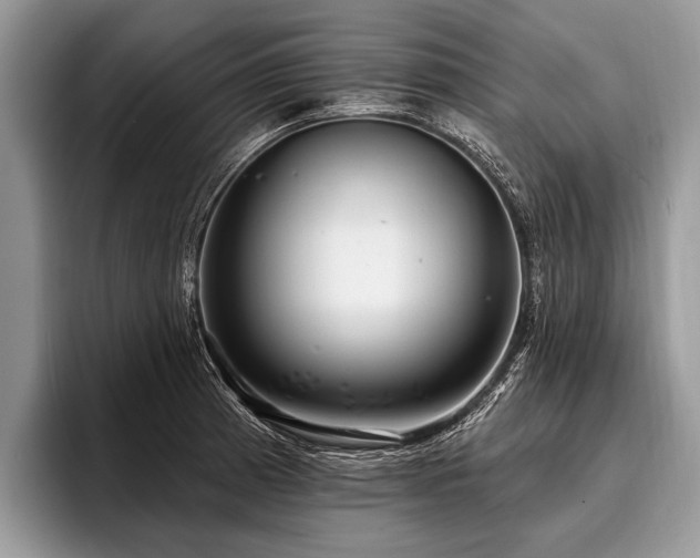 X0000096991185200802081421