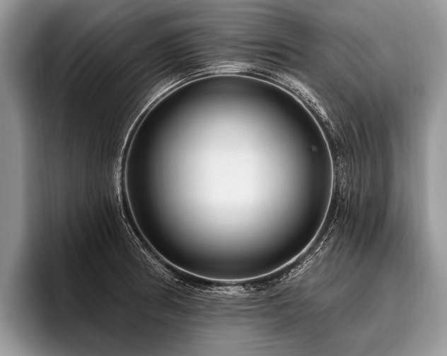 X0000096991186200802081421