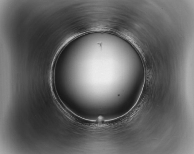 X0000096991187200802081421