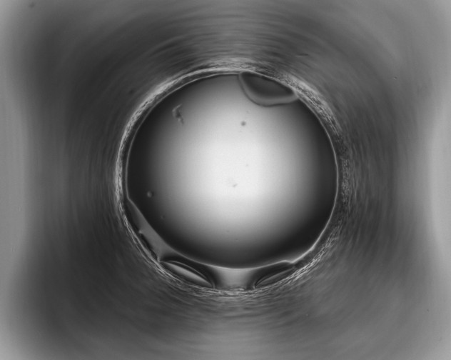 X0000096991188200802081421