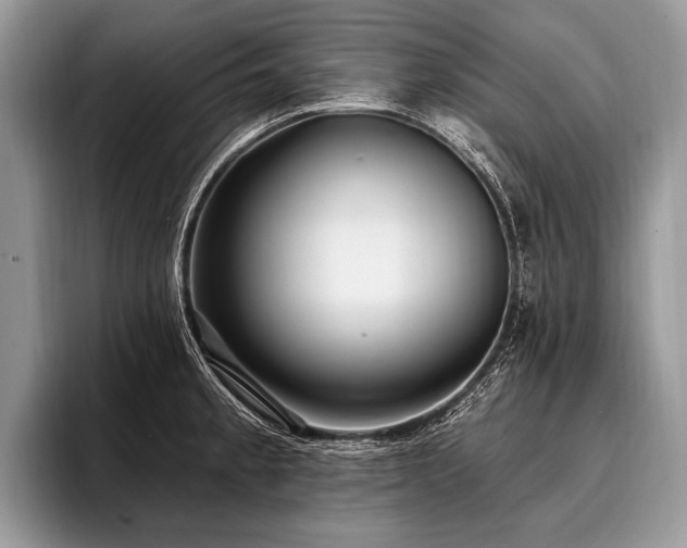X0000096991189200802081421
