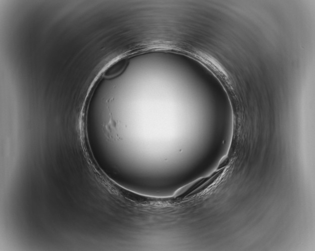X0000096991190200802081421