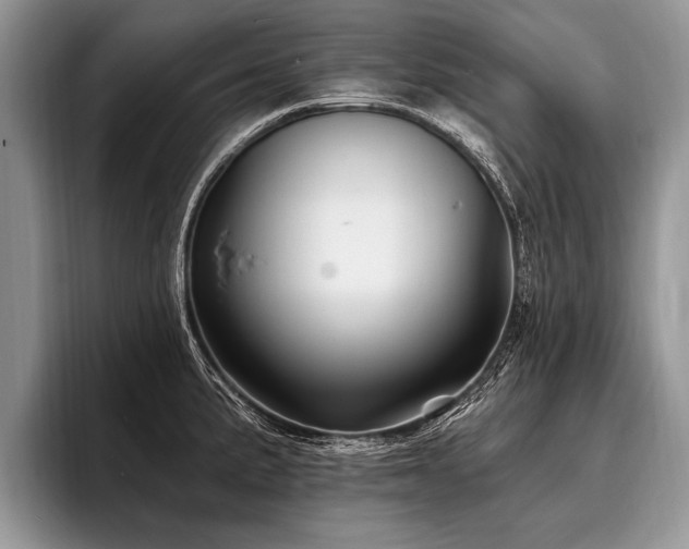 X0000096991191200802081421
