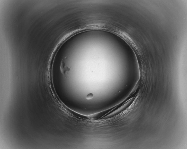 X0000096991192200802081421