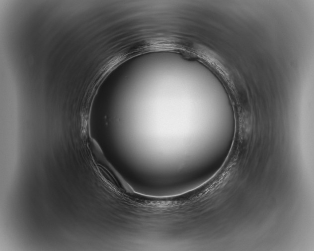 X0000096991193200802081421
