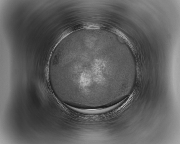 X0000096991194200802081421