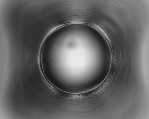 X0000096991195200802081421