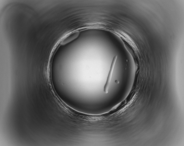 X0000096991196200802081421