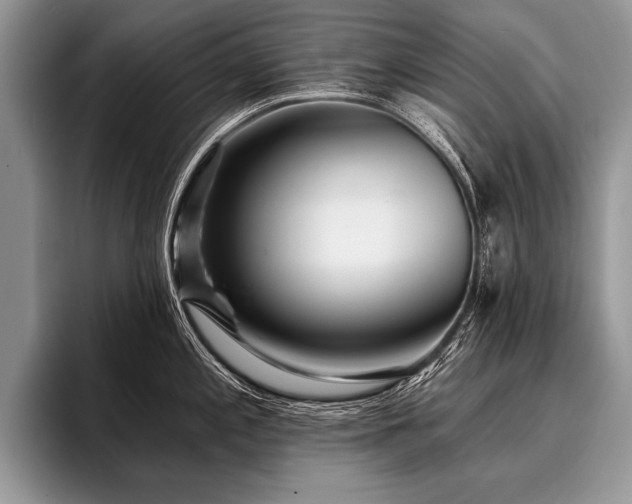 X0000096991197200802081421