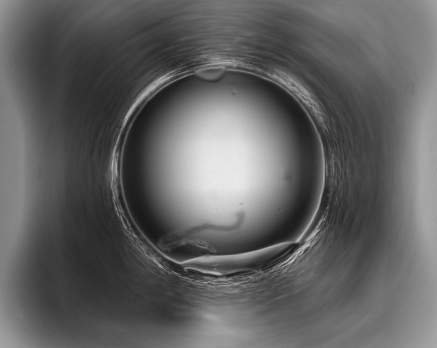X0000096991198200802081421
