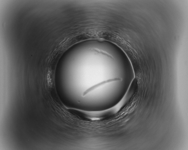 X0000096991202200802081421