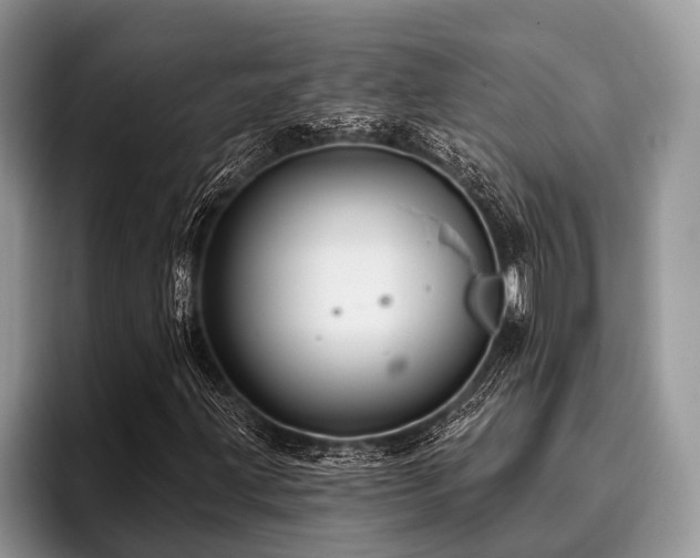 X0000096991203200802081421