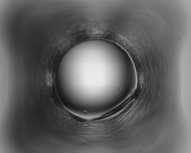 X0000096991204200802081421