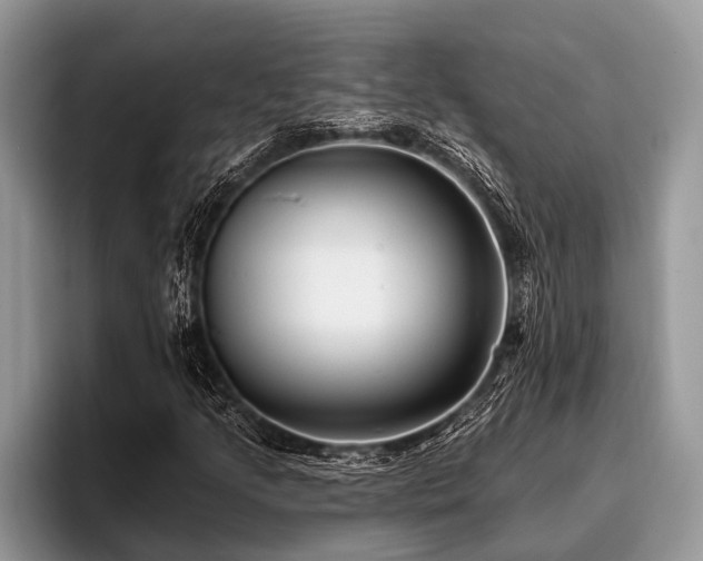 X0000096991205200802081421