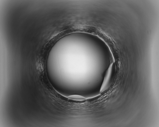 X0000096991206200802081421