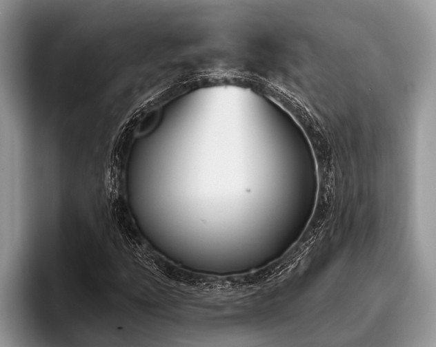X0000096991207200802081421