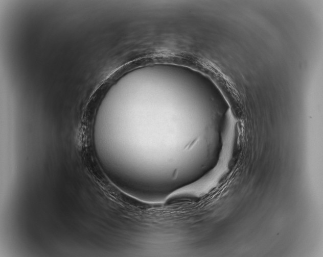 X0000096991208200802081421