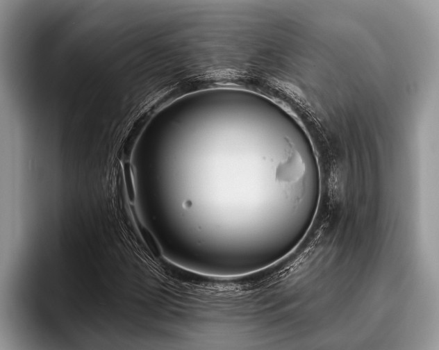 X0000096991209200802081421