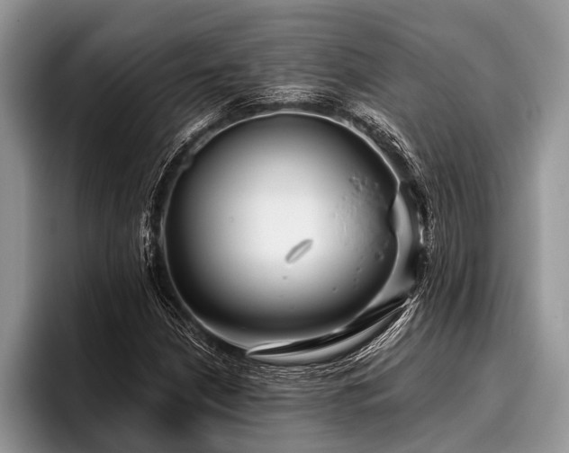 X0000096991210200802081421
