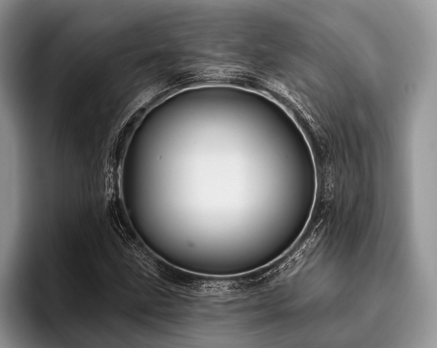 X0000096991211200802081421