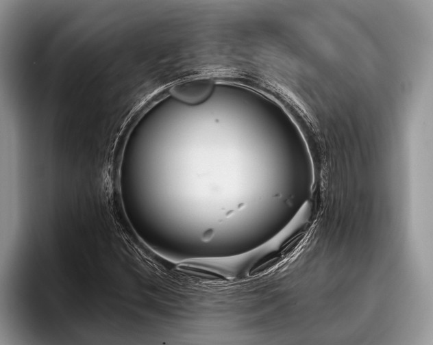 X0000096991212200802081421