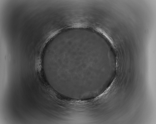X0000096991213200802081421