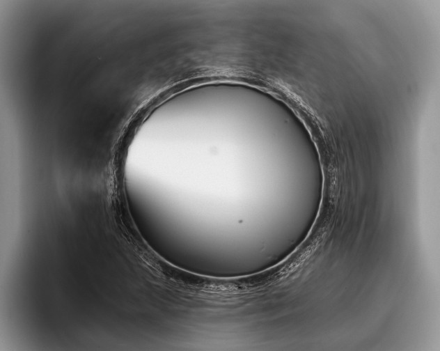 X0000096991215200802081421