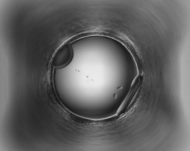 X0000096991216200802081421