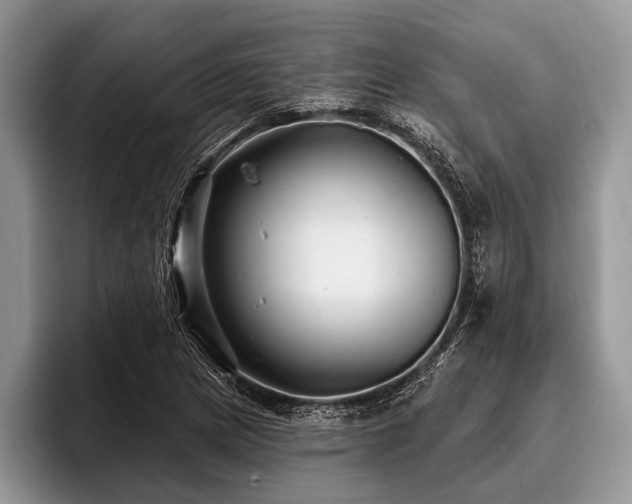 X0000096991217200802081421