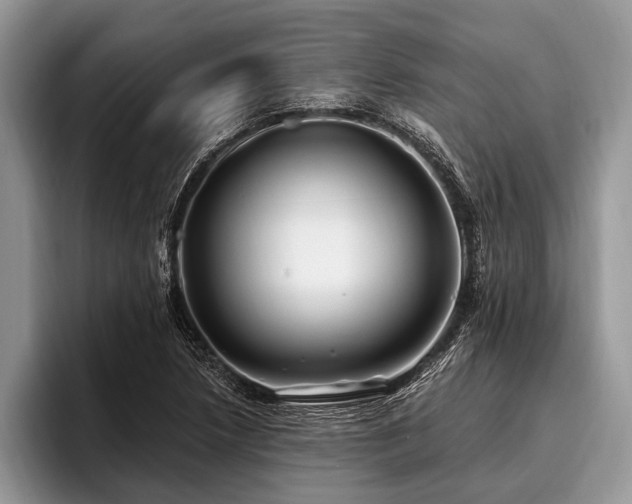 X0000096991218200802081421