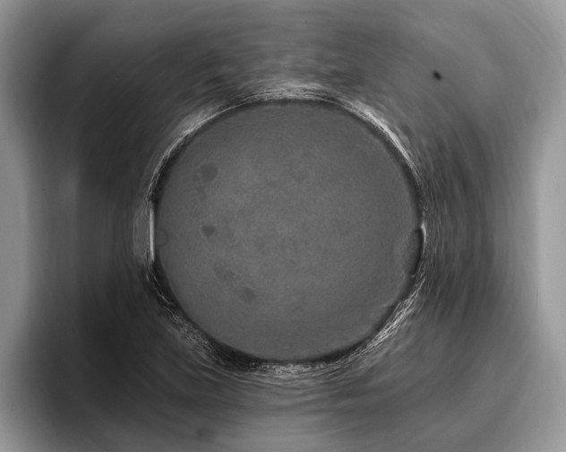 X0000096991219200802081421