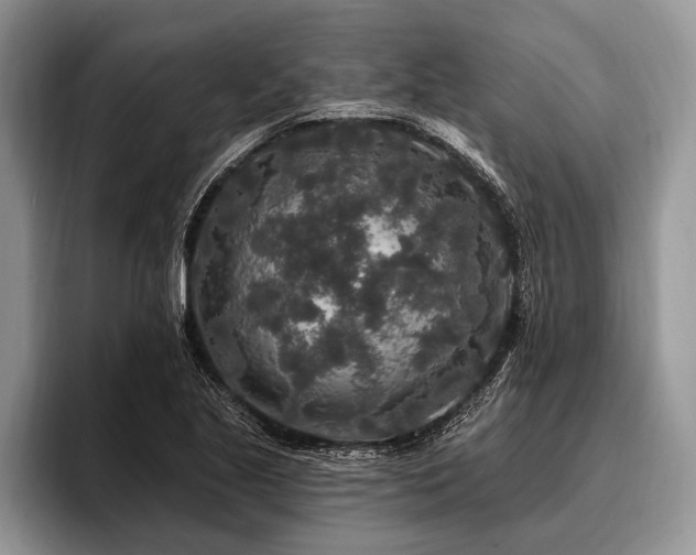 X0000096991221200802081421