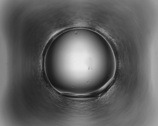 X0000096991222200802081421
