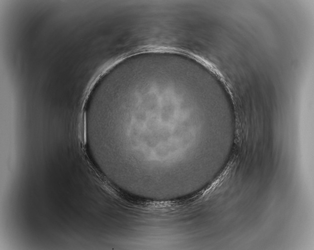 X0000096991223200802081421