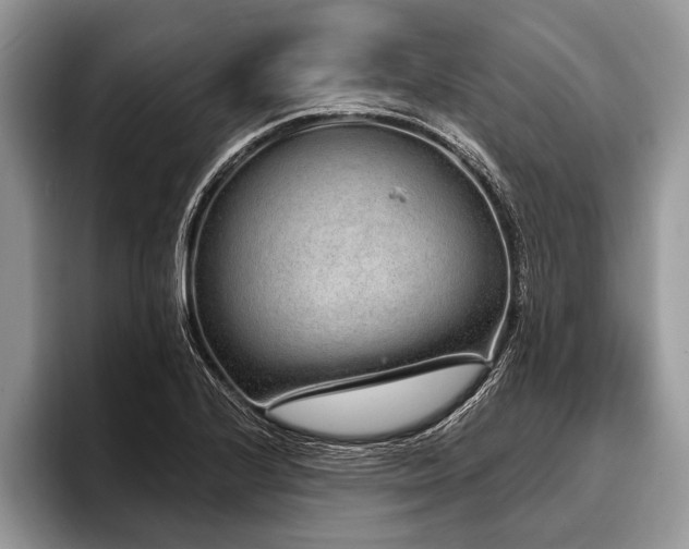 X0000096991224200802081421