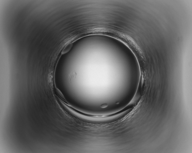 X0000096991225200802081421