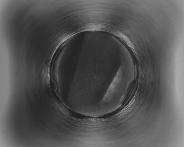 X0000096991226200802081421