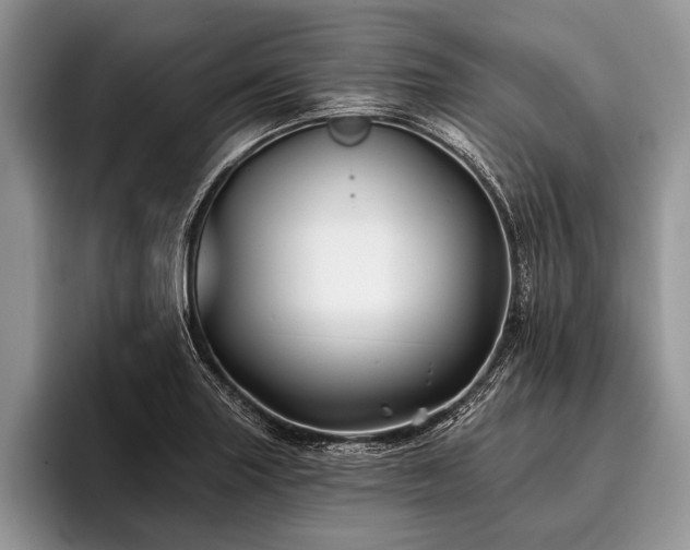 X0000096991227200802081421