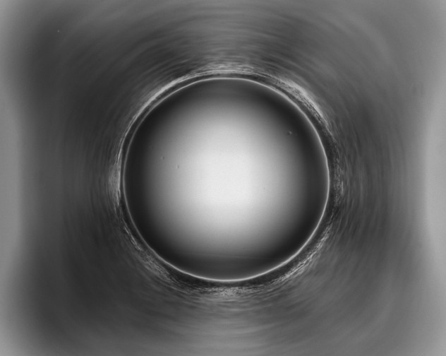 X0000096991228200802081421